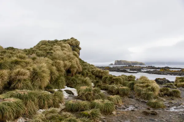 Linda Paisagem Geórgia Sul — Fotografia de Stock