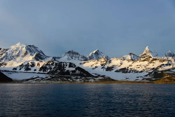 South Georgia Pemandangan Pagi — Stok Foto