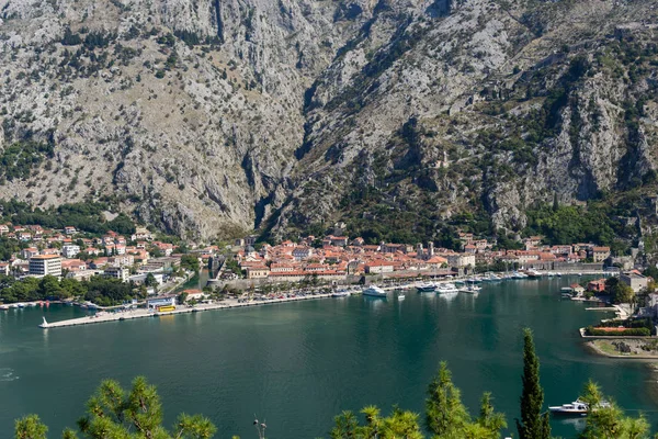 Hermosa Vista Bahía Kotor Desde Colina — Foto de Stock