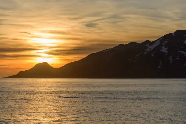 Sydgeorgien Morgon Landskap — Stockfoto