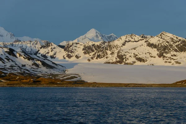 Zuid Georgië Ochtend Landschap — Stockfoto