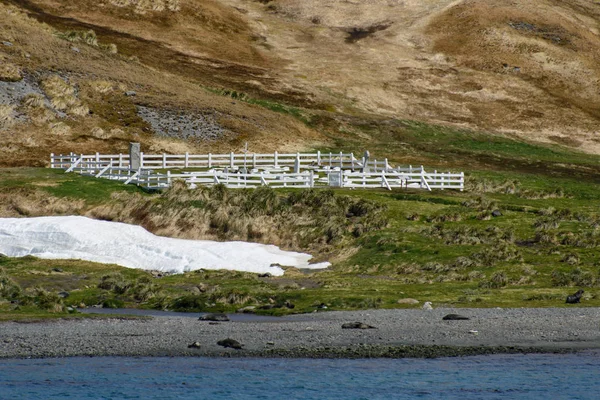 Vieux Cimetière Grytviken Sur Géorgie Sud — Photo