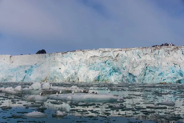 Paesaggio Artico Nelle Svalbard — Foto Stock