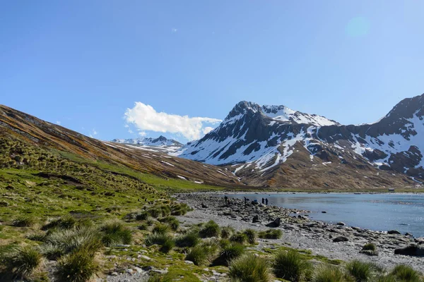 Schöne Südgeorgien Landschaft — Stockfoto