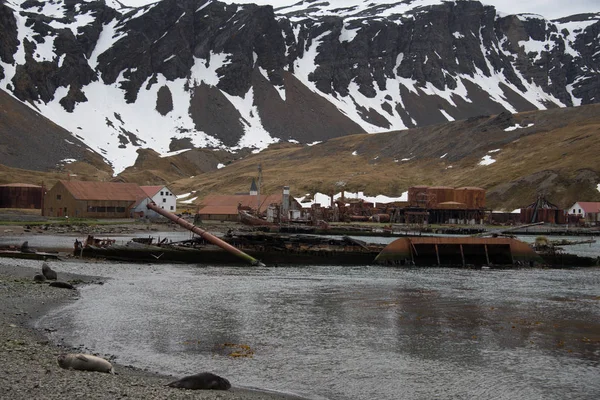 Grytviken Antiga Estação Baleeira Geórgia Sul — Fotografia de Stock