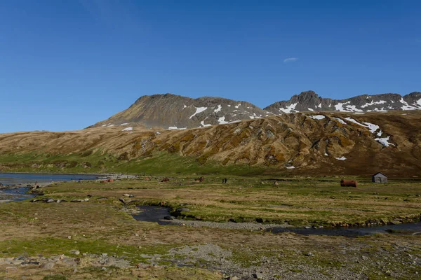 Hermoso Paisaje Georgia Del Sur — Foto de Stock