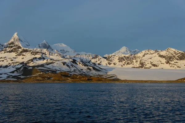 Südgeorgien Morgenlandschaft — Stockfoto