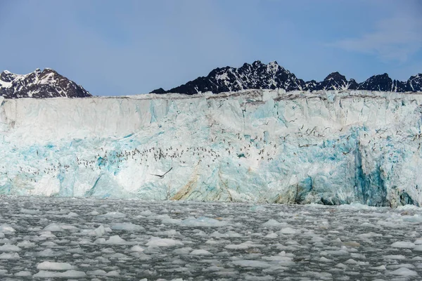 Paisagem Ártica Svalbard — Fotografia de Stock