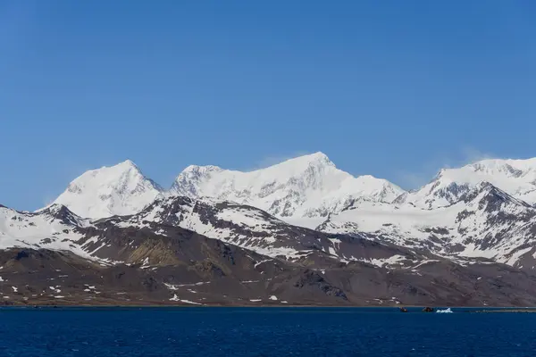 Hermoso Paisaje Georgia Del Sur — Foto de Stock