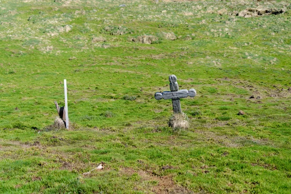 Koningspinguïn Aard — Stockfoto