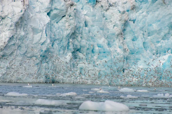 Arctische Landschap Svalbard — Stockfoto