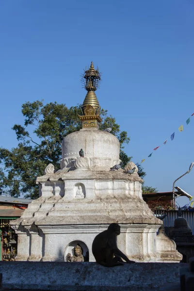 Swayambhunath Vue Rapprochée — Photo