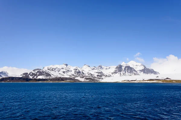 Schöne Südgeorgien Landschaft — Stockfoto