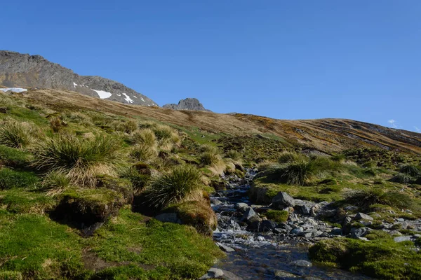 Beautiful South Georgia landscape