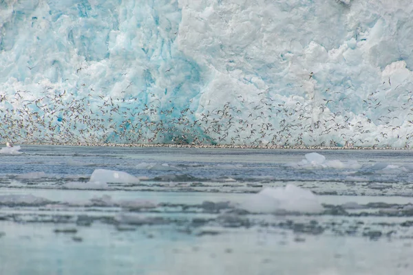 Arctische Landschap Svalbard — Stockfoto