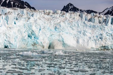 Svalbard kutup manzara
