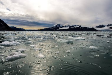 Svalbard kutup manzara