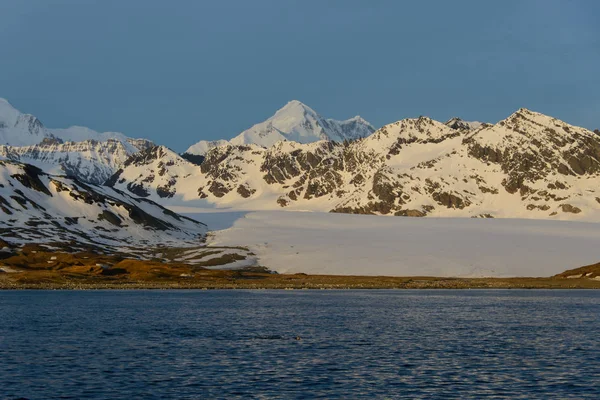 Zuid Georgië Ochtend Landschap — Stockfoto