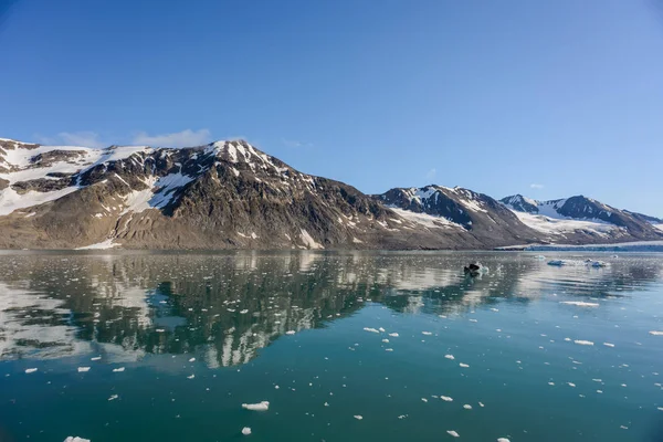 Красивый Вид Арктику — стоковое фото