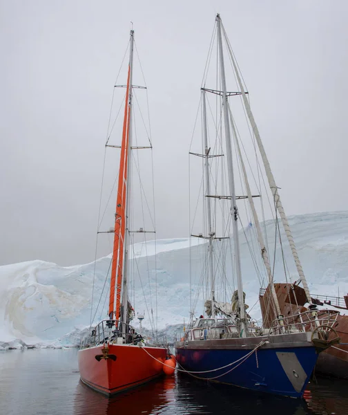 Twee Zeiljachten Antarctische Wateren Zee — Stockfoto