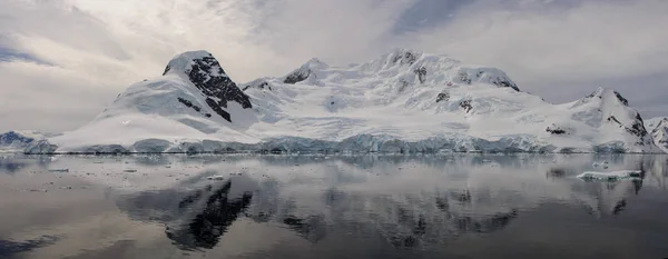 Marina Antártica Com Reflexão — Fotografia de Stock