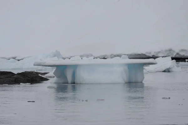 Paisaje Antártico Con Iceberg — Foto de Stock