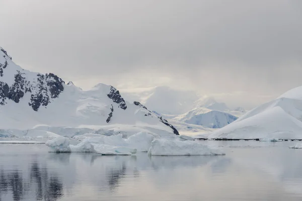 Glace Mer Antarctique — Photo