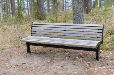 Parktaki ahşap bank