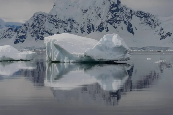 Paisaje Antártico Con Iceberg —  Fotos de Stock