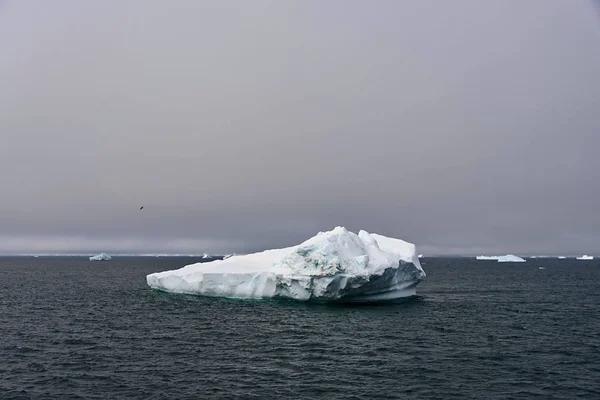 Ijsberg Antarctische Zee — Stockfoto