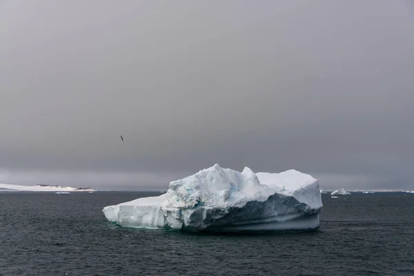 Iceberg Nel Mare Antartico — Foto Stock