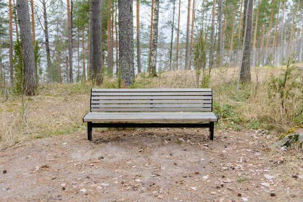 Wooden Bench Park — Stock Photo, Image