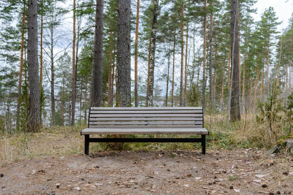 공원에 — 스톡 사진
