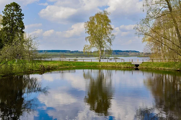 Russische Landschaft Mit Birke Und See — Stockfoto