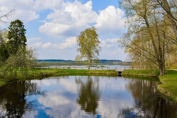 Russian Landscape Birch Lake Stock Picture