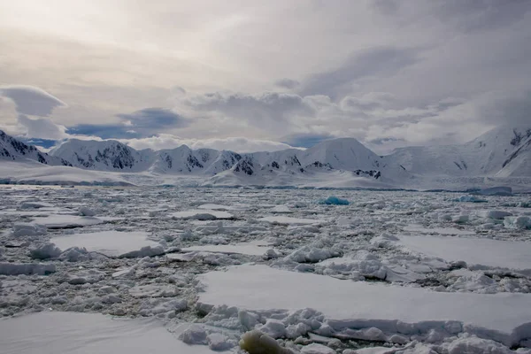 Paysage Antarctique Avec Glaciers Montagnes — Photo