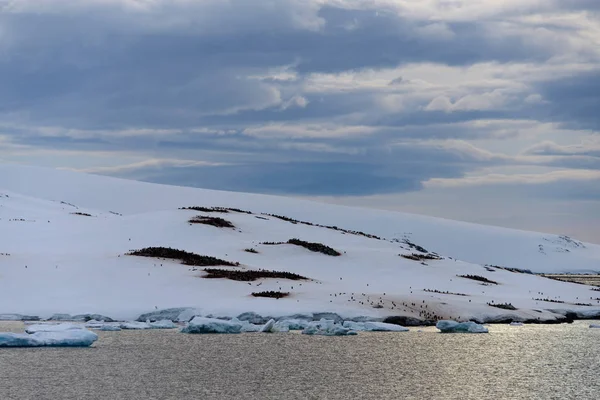 Paisagem Antártica Com Geleira Montanhas — Fotografia de Stock