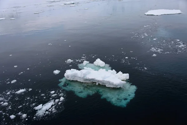 Eis Antarktischen Meer — Stockfoto