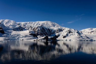 Yansıması ile Antarktika deniz manzarası