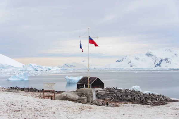 Puerto Lockroy Estación Antártica — Foto de Stock