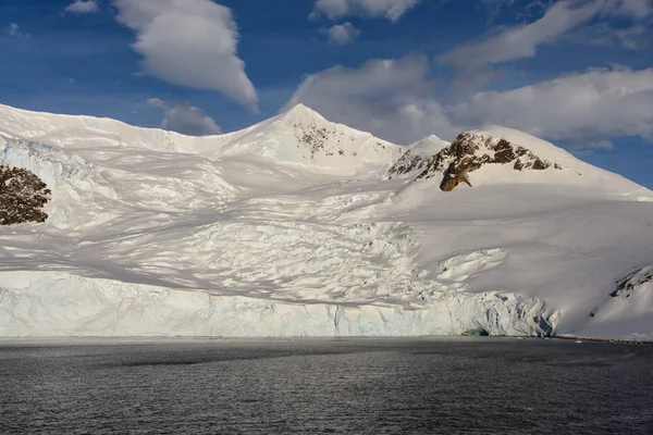 Paesaggio Antartico Con Ghiacciaio Montagne — Foto Stock