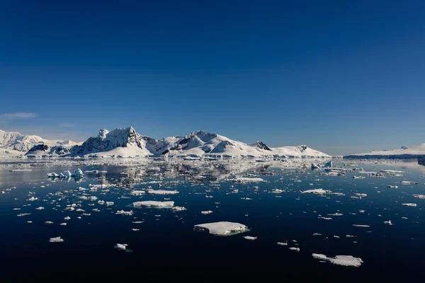 Антарктический Морской Пейзаж Отражением — стоковое фото