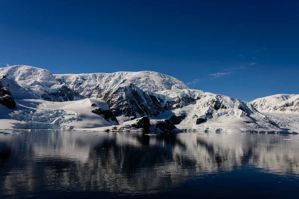 Антарктичний Морський Пейзаж Відображенням — стокове фото