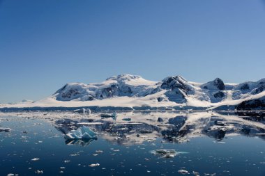 Yansıması ile Antarktika deniz manzarası