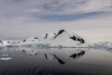 Yansıması ile Antarktika deniz manzarası