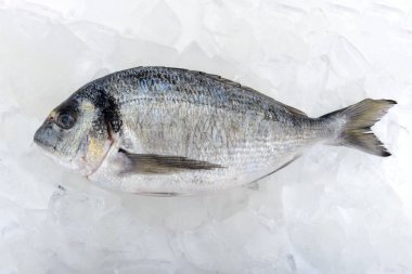 Buz üzerinde taze dorada balık