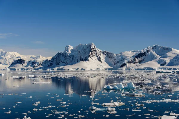 Antartico Paesaggio Marino Con Riflessione — Foto Stock