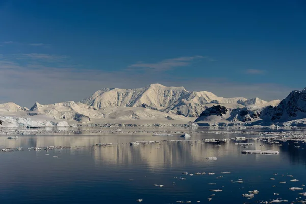 Marina Antártica Com Reflexão — Fotografia de Stock