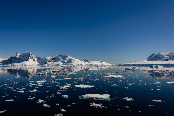 Antarctic seascape with reflection