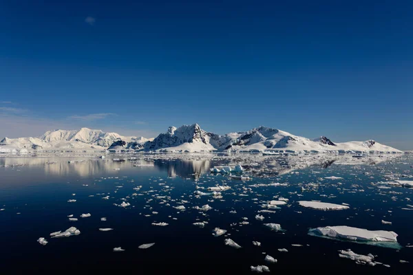 Antarktis Seascape Med Reflektion — Stockfoto